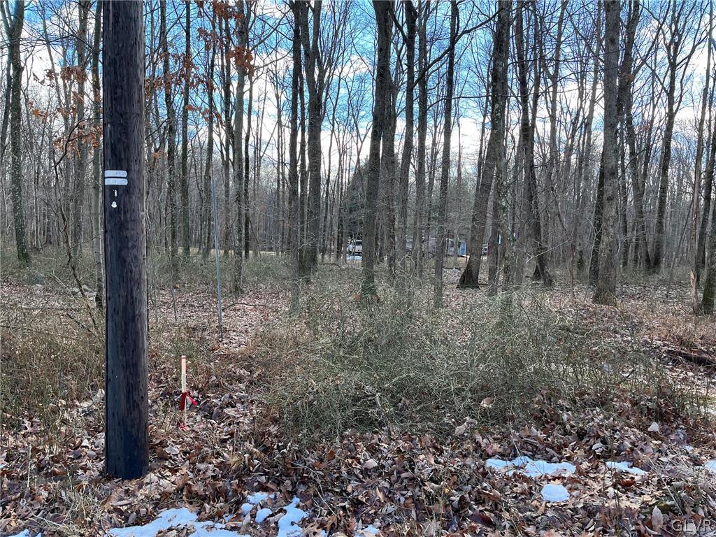 Pohopoco Circle Lehighton, PA 18235 - Photo 9 of 13