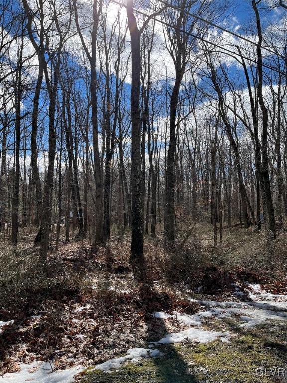 Pohopoco Circle Lehighton, PA 18235 - Photo 10 of 13