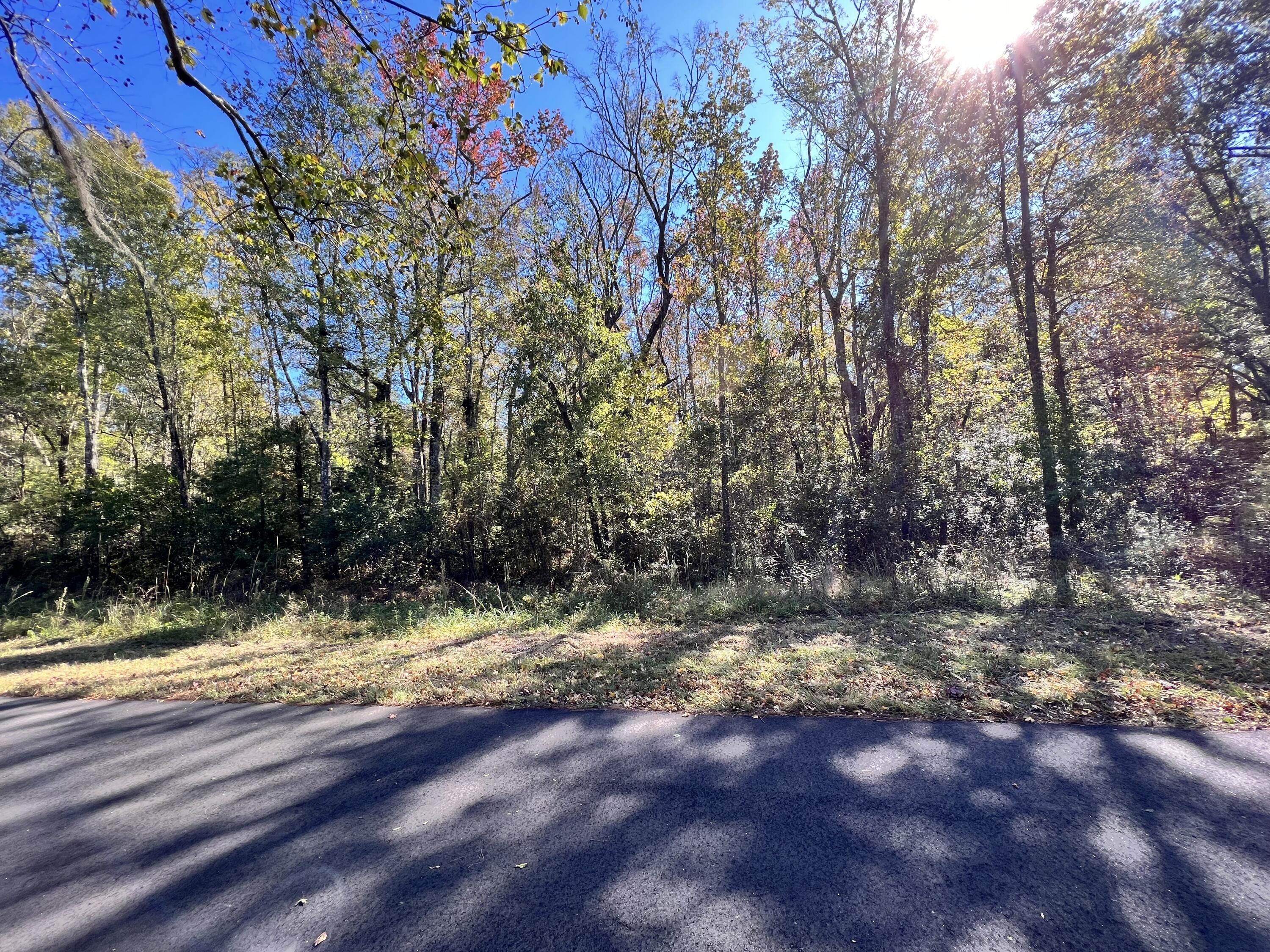 0 Shoofly Road Ridgeville, SC 29472 - Photo 2 of 3 Shoofly 3