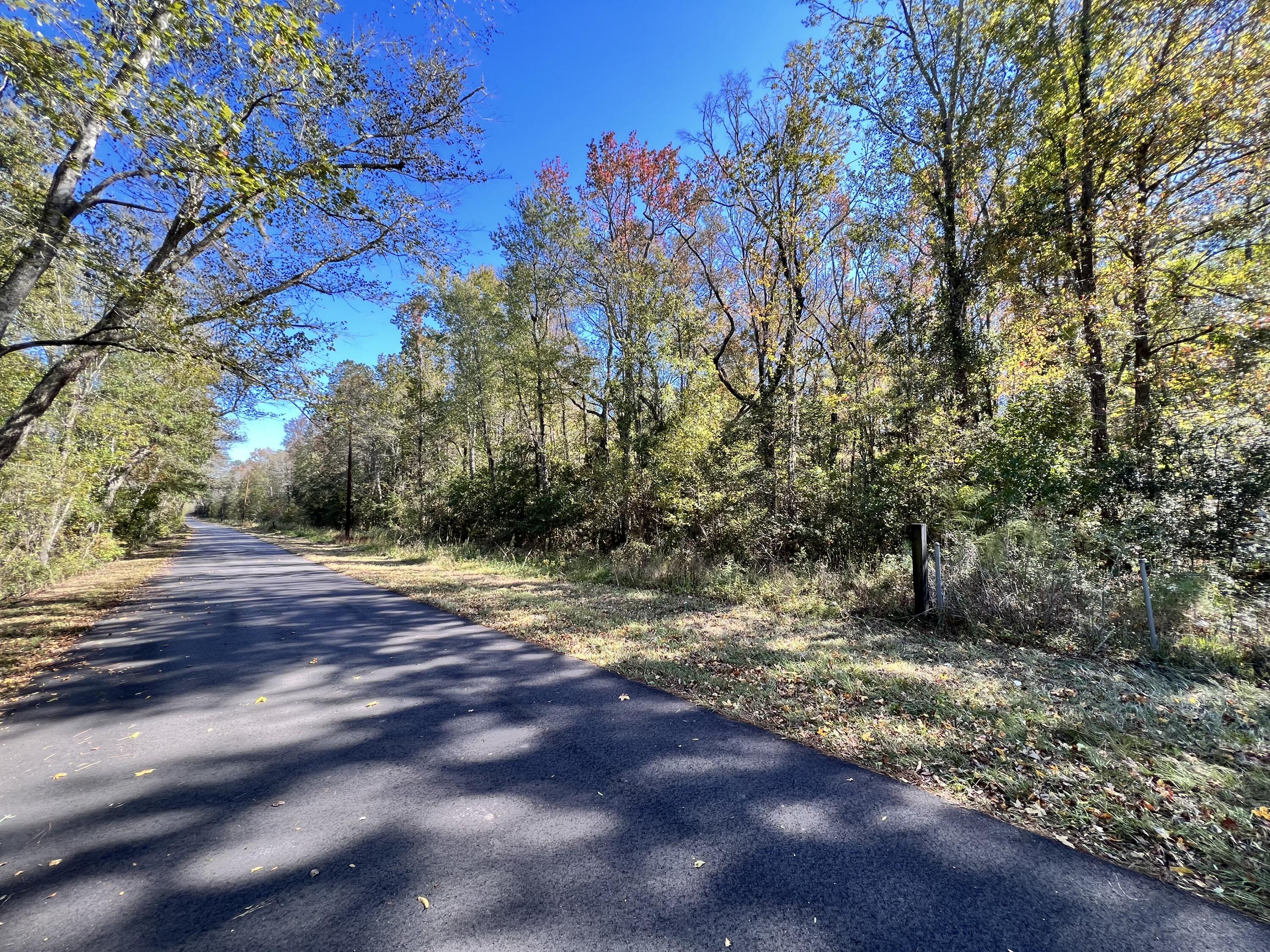 0 Shoofly Road Ridgeville, SC 29472 - Photo 3 of 3 Shoofly 2