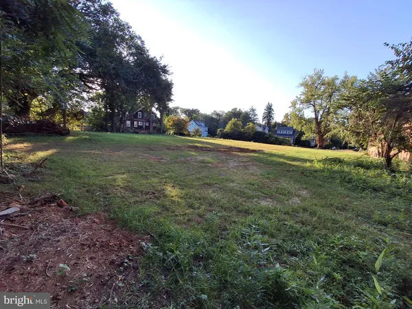 a view of outdoor space with trees all around