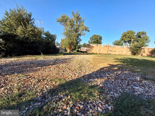 a view of a yard with plants and trees