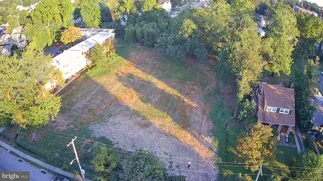 a view of a yard with plants
