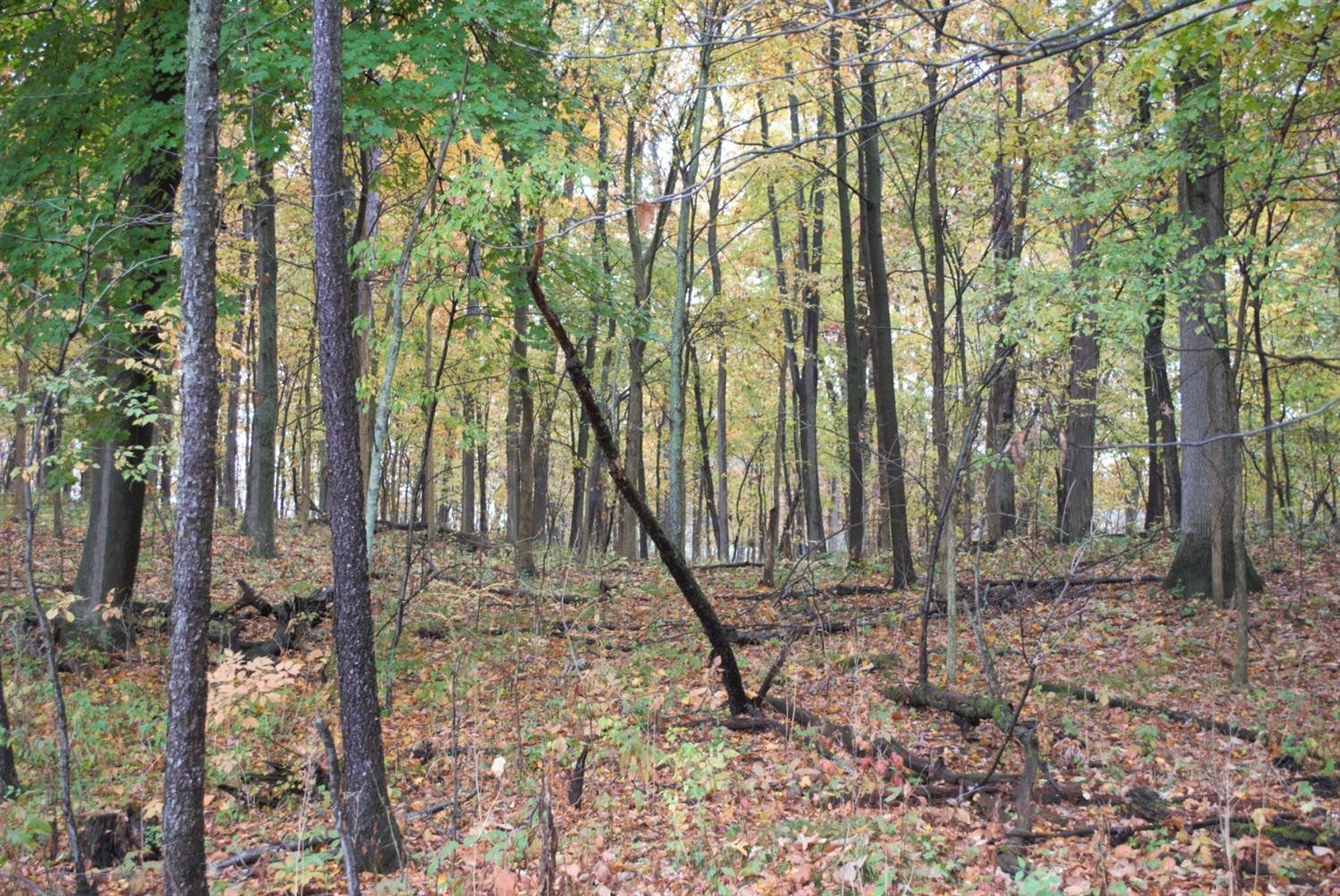 0 Dancer Road Dexter, MI 48130 - Photo 11 of 16 Photo 11