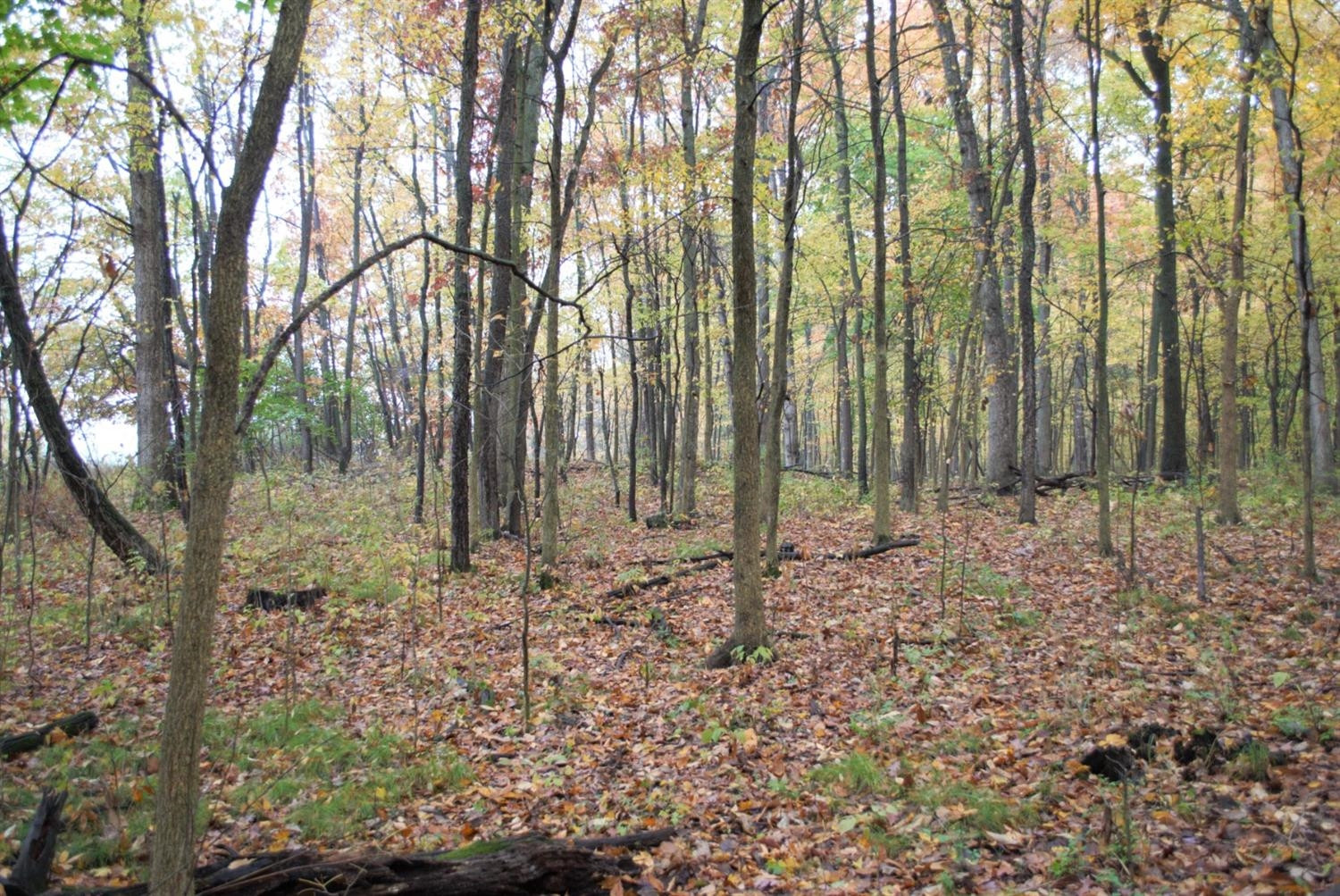 0 Dancer Road Dexter, MI 48130 - Photo 13 of 16 Photo 13
