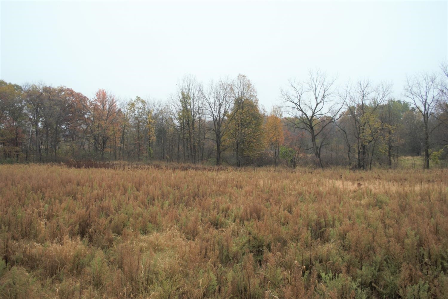0 Dancer Road Dexter, MI 48130 - Photo 14 of 16 Photo 14
