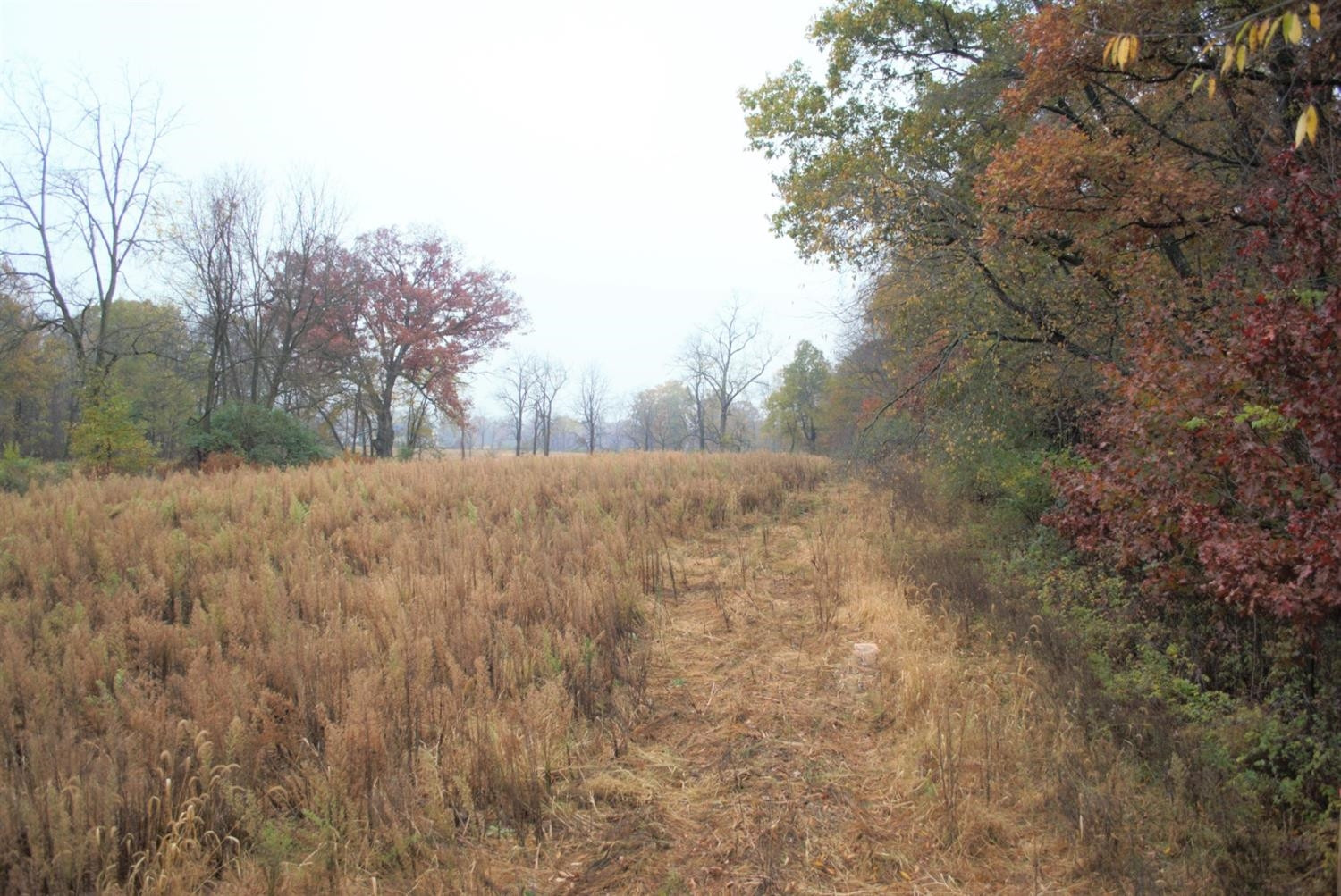 0 Dancer Road Dexter, MI 48130 - Photo 15 of 16 Photo 15