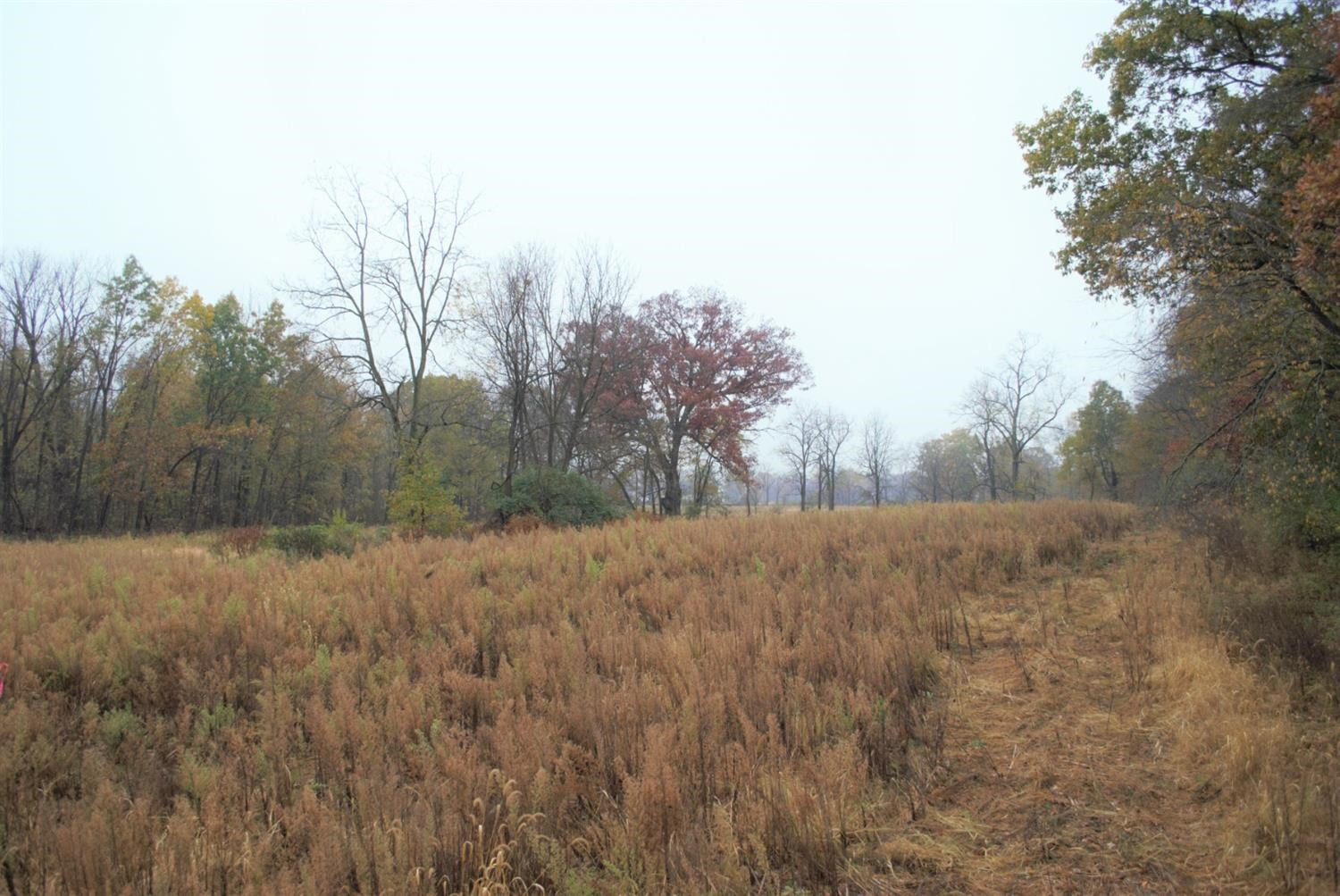 0 Dancer Road Dexter, MI 48130 - Photo 16 of 16 Photo 16