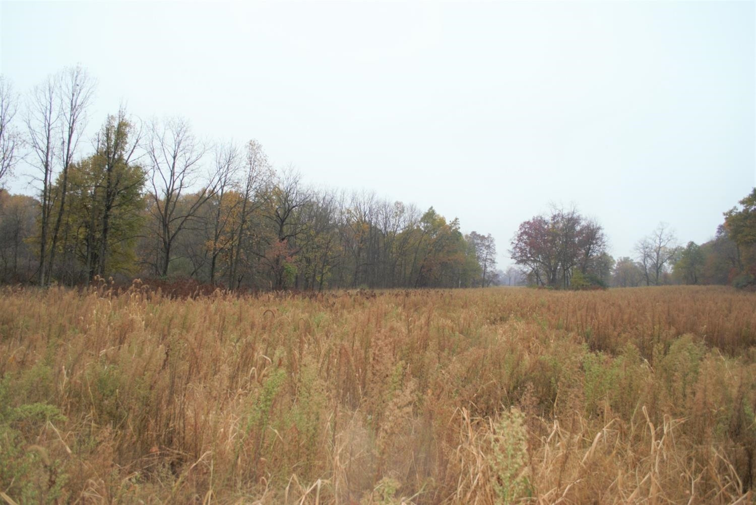 0 Dancer Road Dexter, MI 48130 - Photo 8 of 16 Photo 8