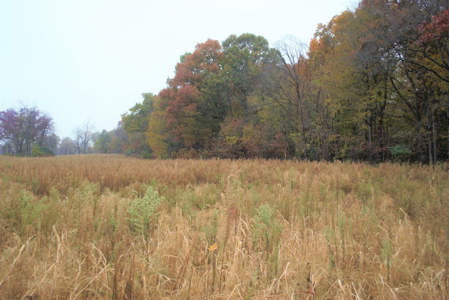 0 Dancer Road Dexter, MI 48130 - Photo 9 of 16 Photo 9