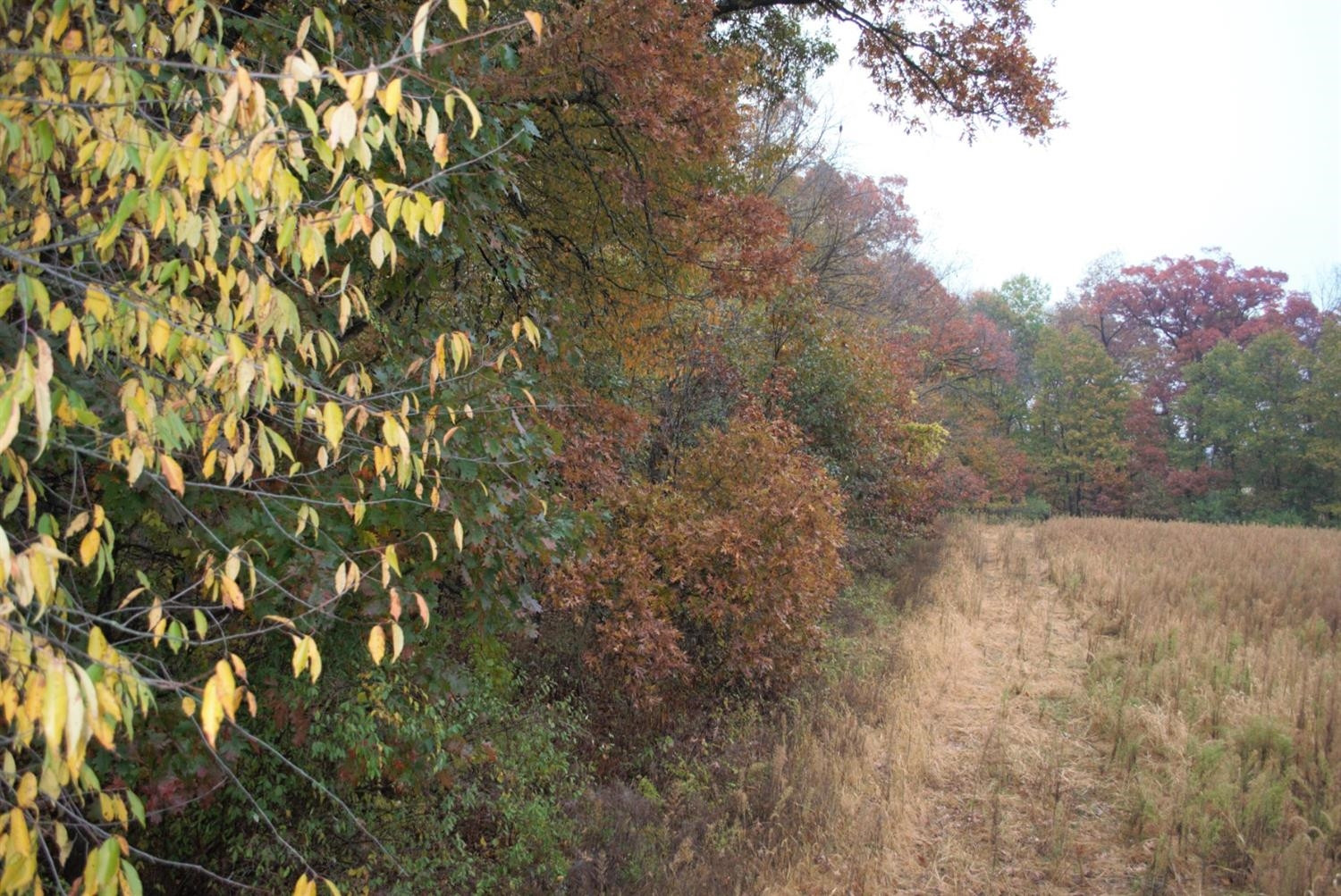 0 Dancer Road Dexter, MI 48130 - Photo 10 of 16 Photo 10
