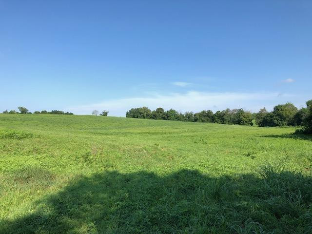 1894 Headquarters Road Carlisle, KY 40311 - Photo 1 of 27 Photo 1
