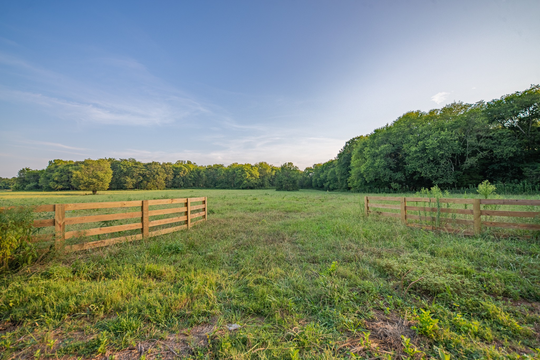 1 Hunter Bills Road Lewisburg, TN 37091 - Photo 46 of 48 a view of outdoor space and yard