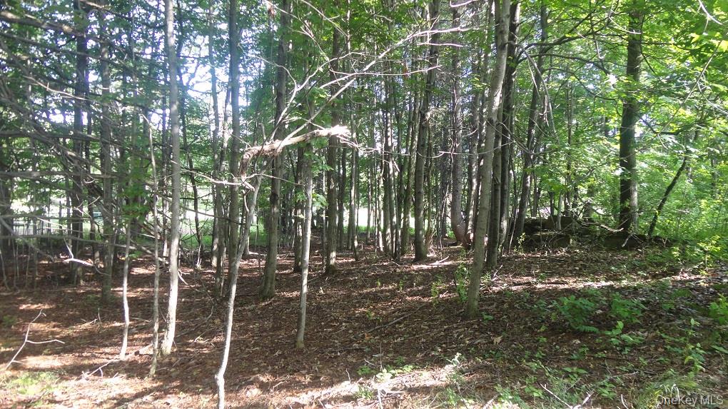 Henry Road Pine Bush, NY 12420 - Photo 11 of 12 a backyard of a house with lots of green space