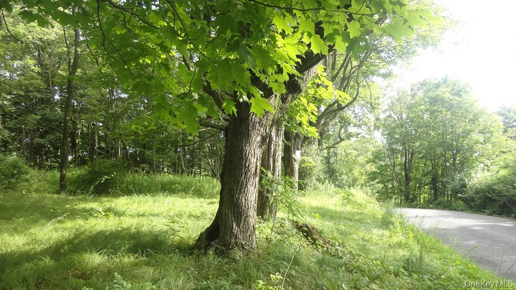 Henry Road Pine Bush, NY 12420 - Photo 2 of 12 a backyard of a house with lots of green space