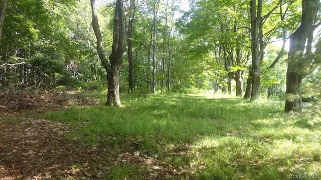 a view of outdoor space and yard