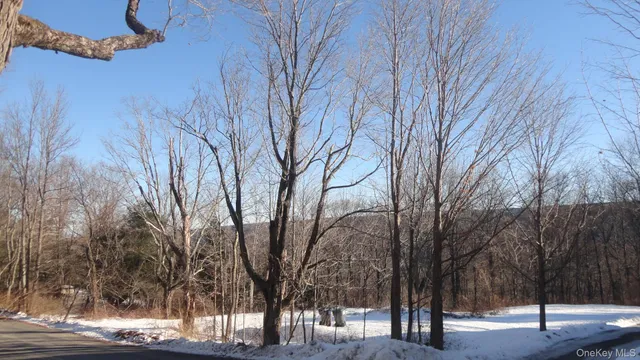 a view of outdoor space with lots of trees