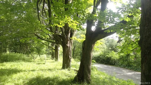 a backyard of a house with yard and outdoor seating