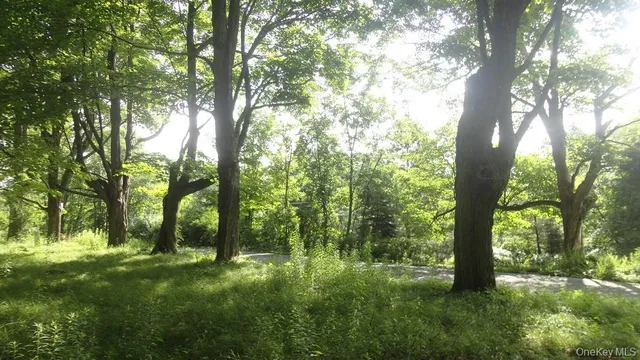 a view of outdoor space and yard