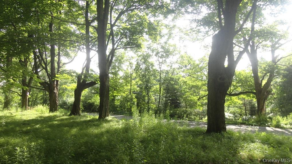 Henry Road Pine Bush, NY 12420 - Photo 9 of 12 a view of outdoor space and yard
