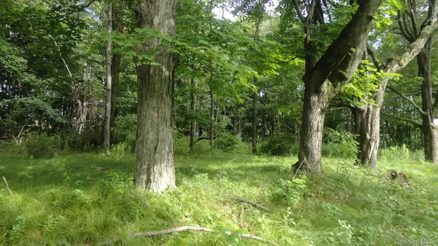 a view of outdoor space and green space