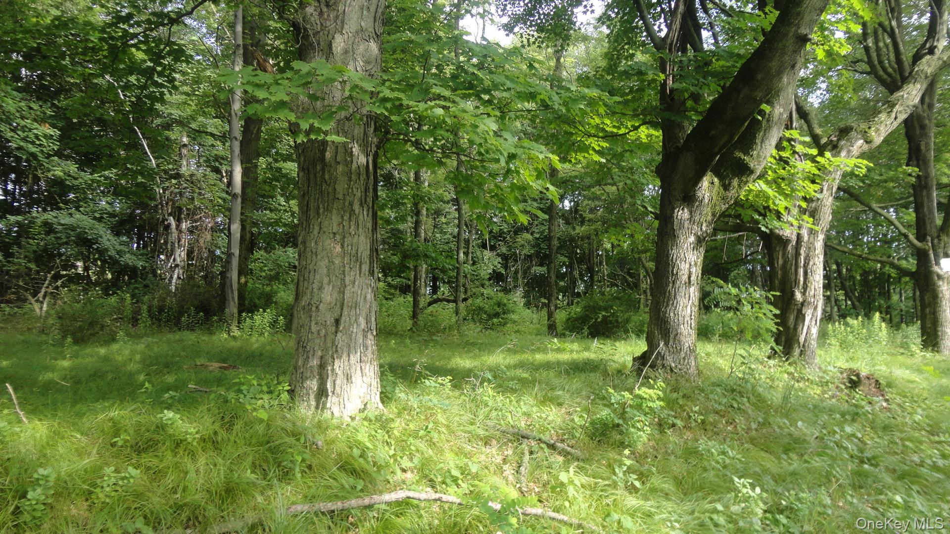 Henry Road Pine Bush, NY 12420 - Photo 10 of 12 a view of outdoor space and green space