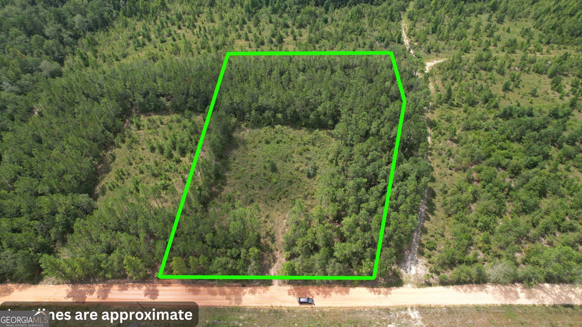 0 Asa Lindsey Road Kite, GA 31049 - Photo 1 of 13 a view of a yard with plants and large trees