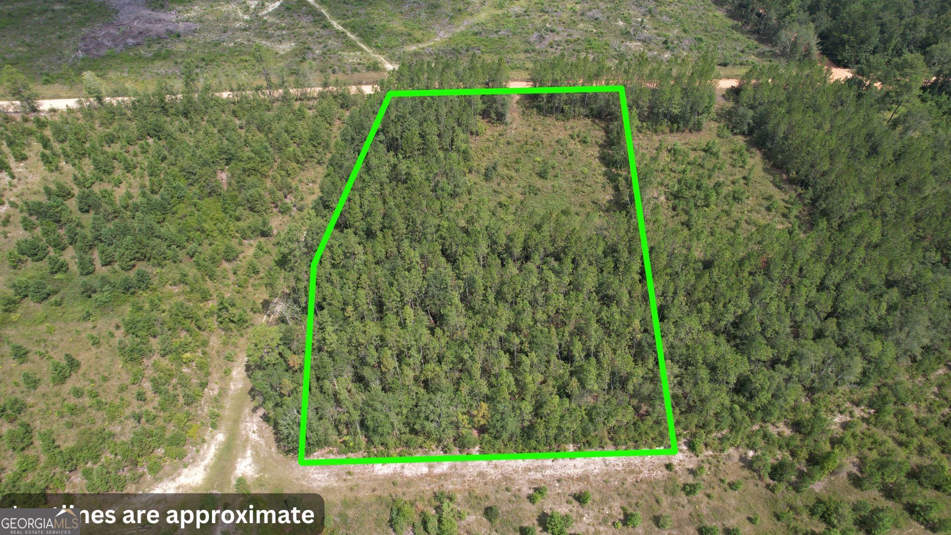 0 Asa Lindsey Road Kite, GA 31049 - Photo 2 of 13 a view of a garden