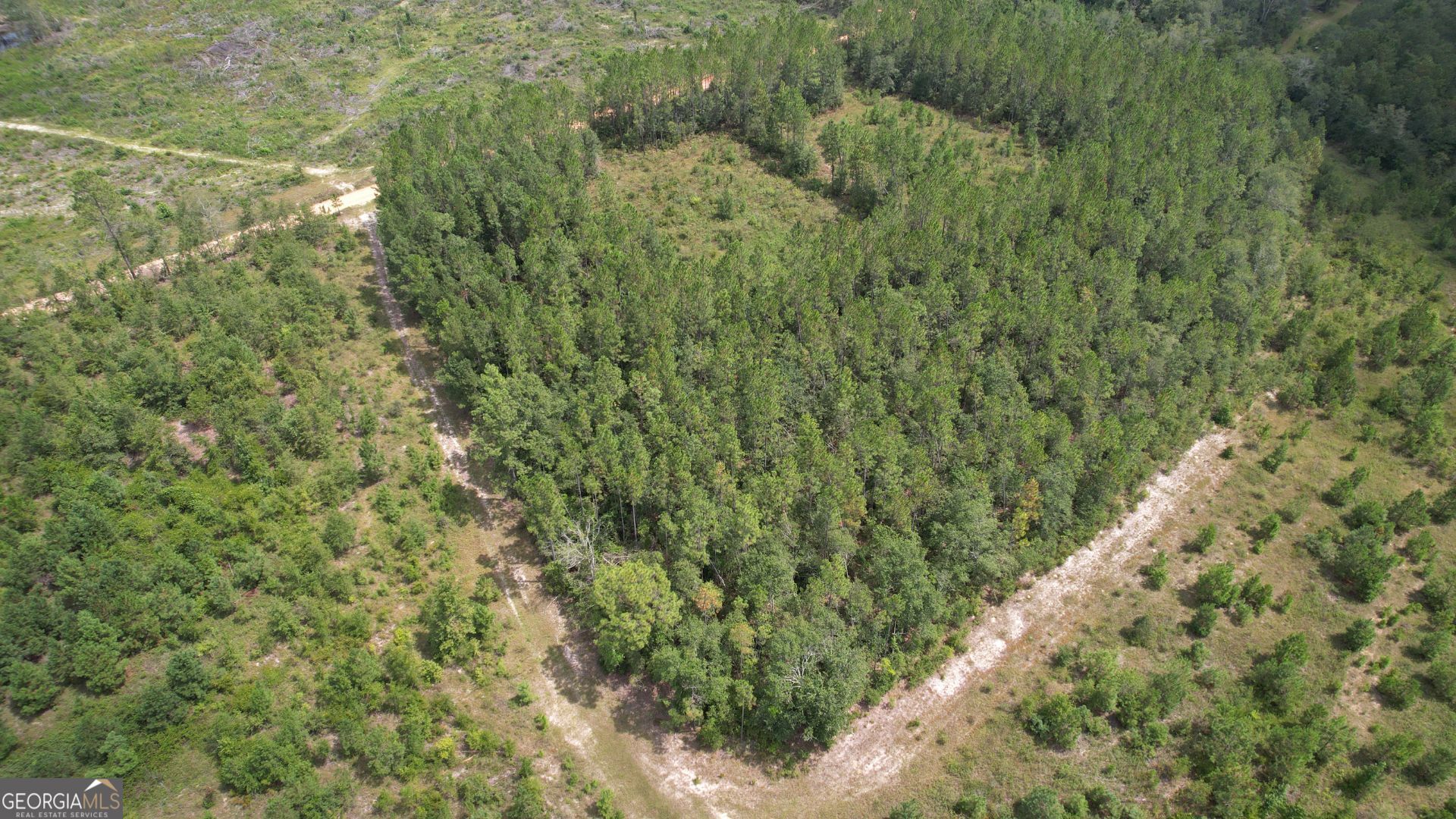 0 Asa Lindsey Road Kite, GA 31049 - Photo 3 of 13 a view of a forest with a tree