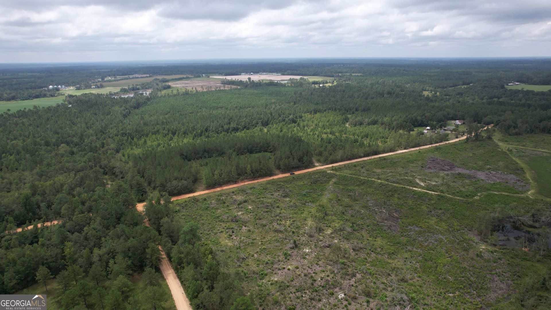 0 Asa Lindsey Road Kite, GA 31049 - Photo 4 of 13 a view of a field with an ocean view
