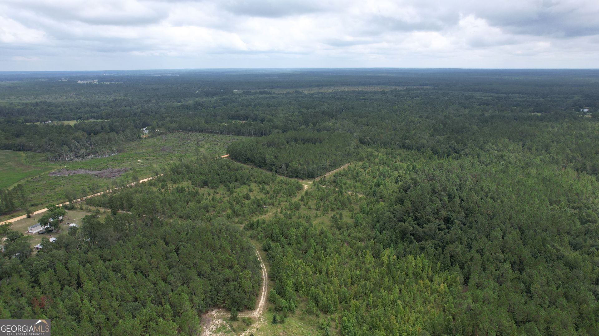 0 Asa Lindsey Road Kite, GA 31049 - Photo 6 of 13 a view of a green field with lots of bushes