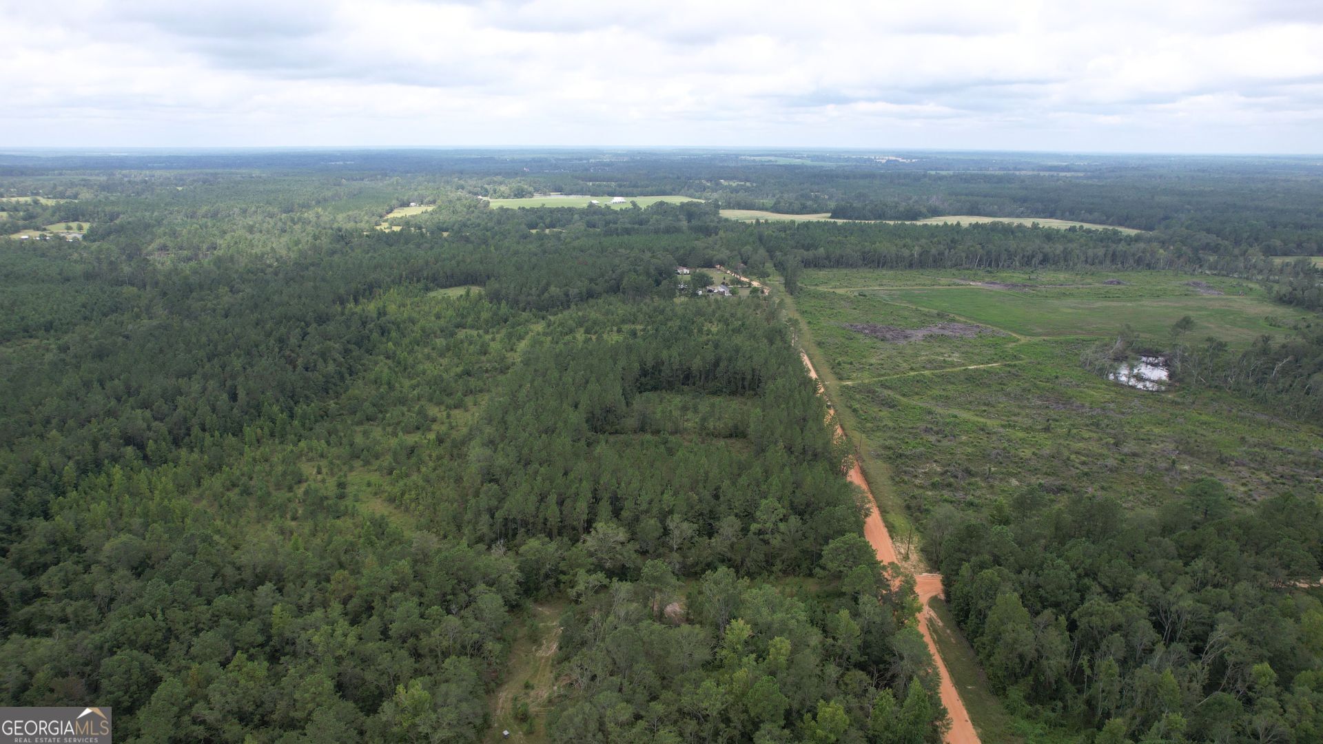 0 Asa Lindsey Road Kite, GA 31049 - Photo 7 of 13 a view of a city with lush green forest