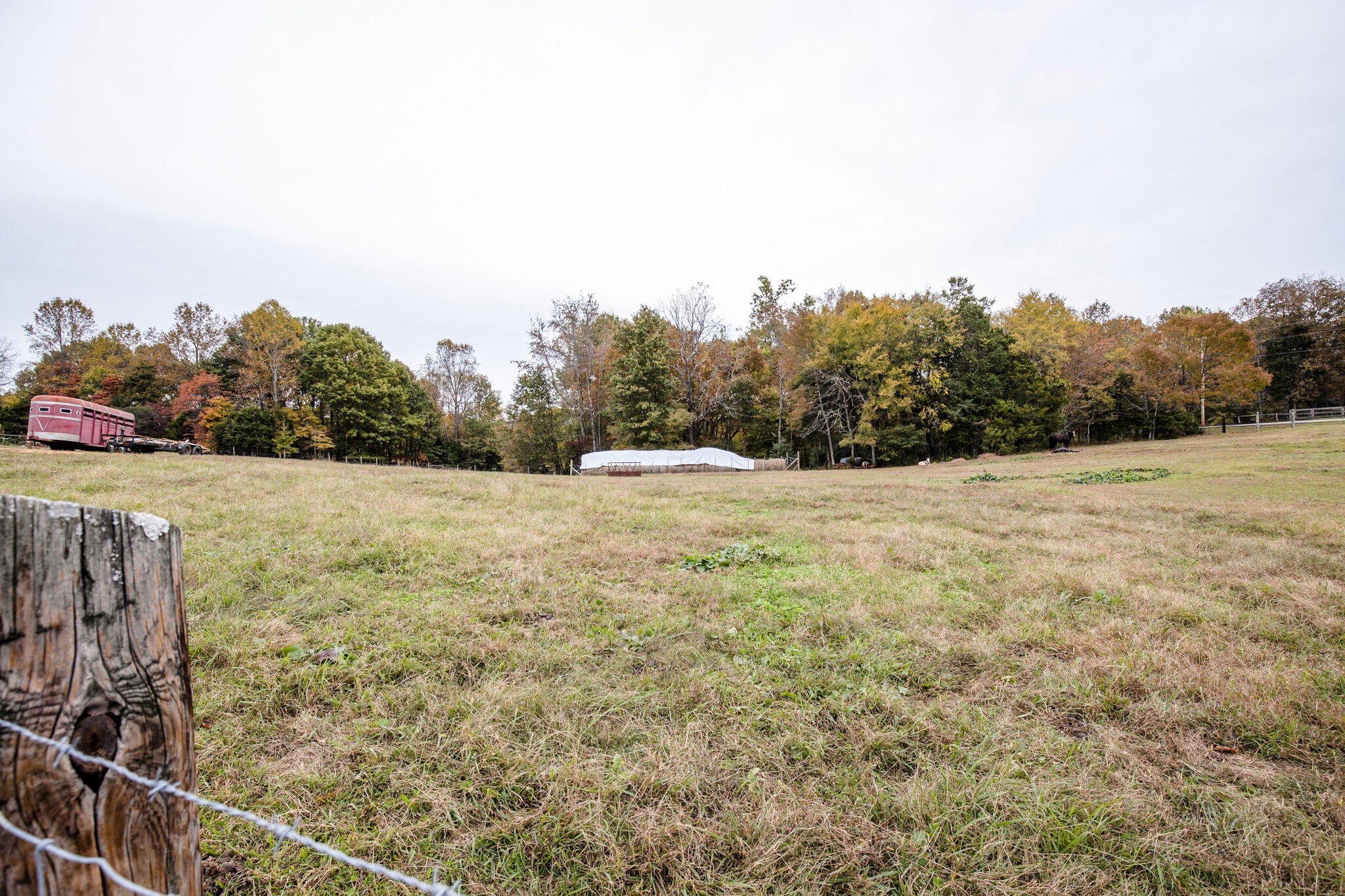 4975 Smithson Road College Grove, TN 37046 - Photo 32 of 41 Gallery Image 32