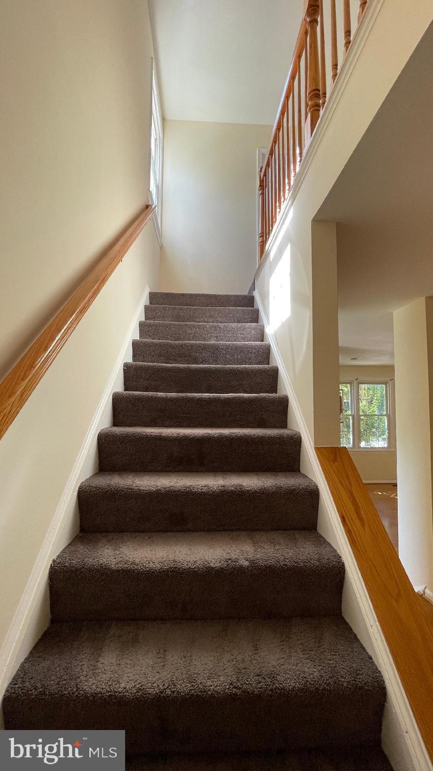10621 Patternbond Terrace Silver Spring, MD 20902 - Photo 9 of 26 Gallery Image 9