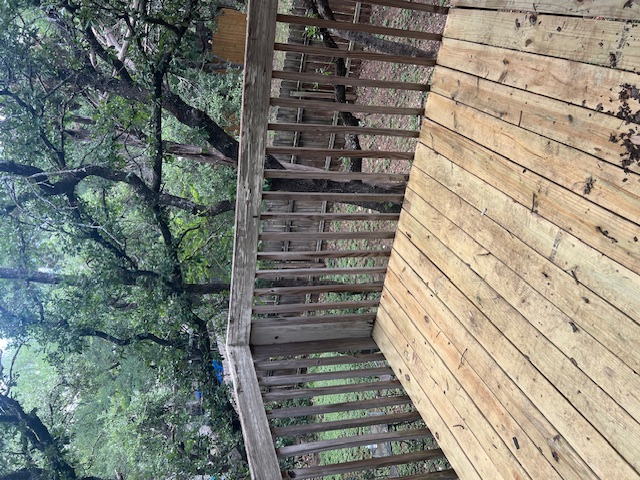 501 Hedgewood Drive, Unit D Georgetown, TX 78628 - Photo 15 of 15 Wooden deck featuring a fenced backyard