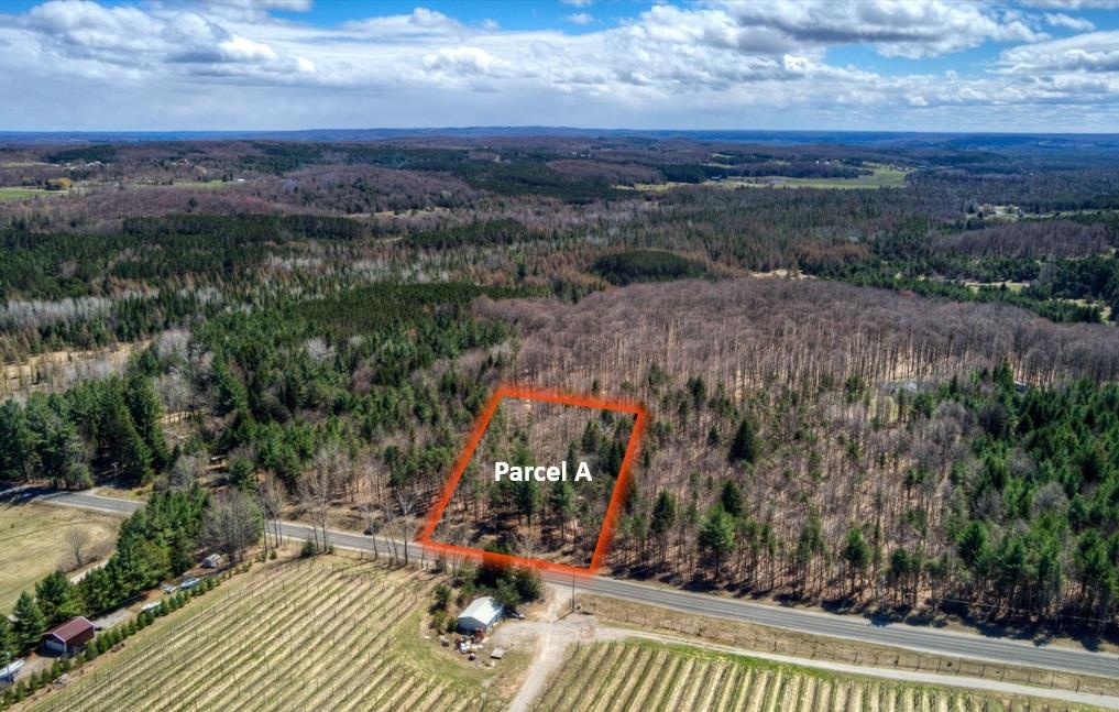 Parcel A East Bodus Road Cedar, MI 49621 - Photo 2 of 8