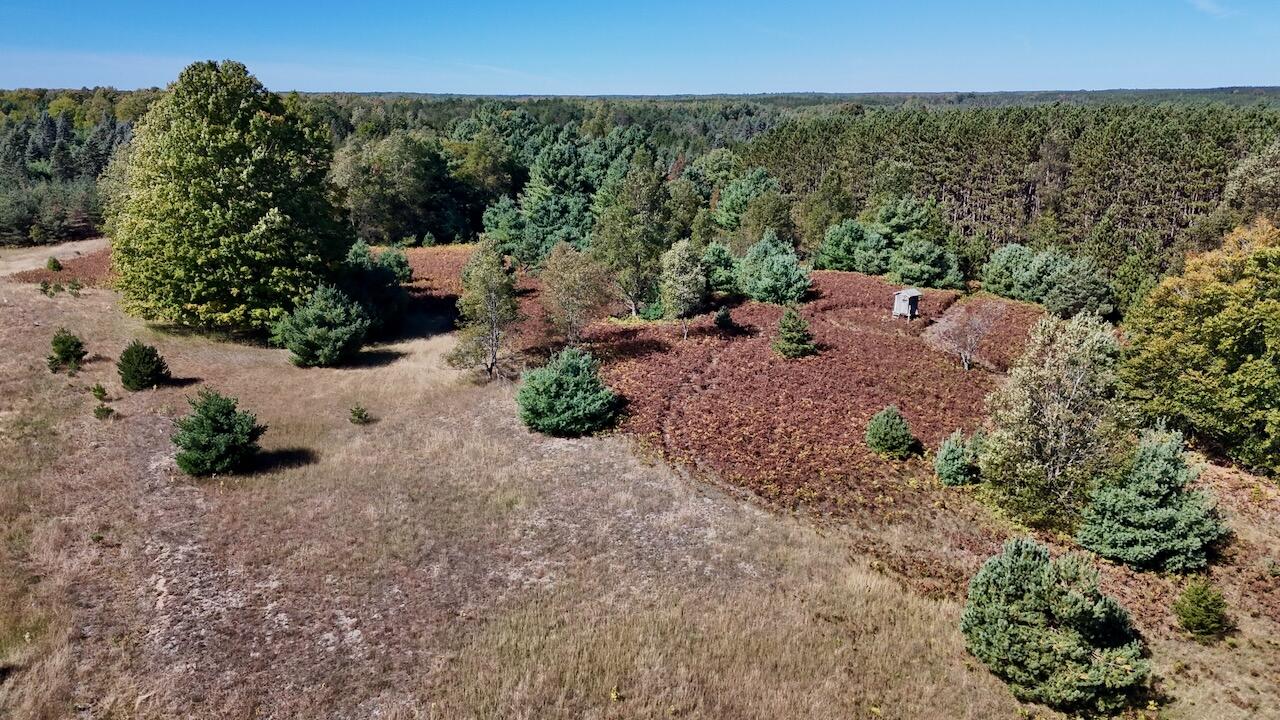 20200 Hibma Road Tustin, MI 49688 - Photo 76 of 104 072
