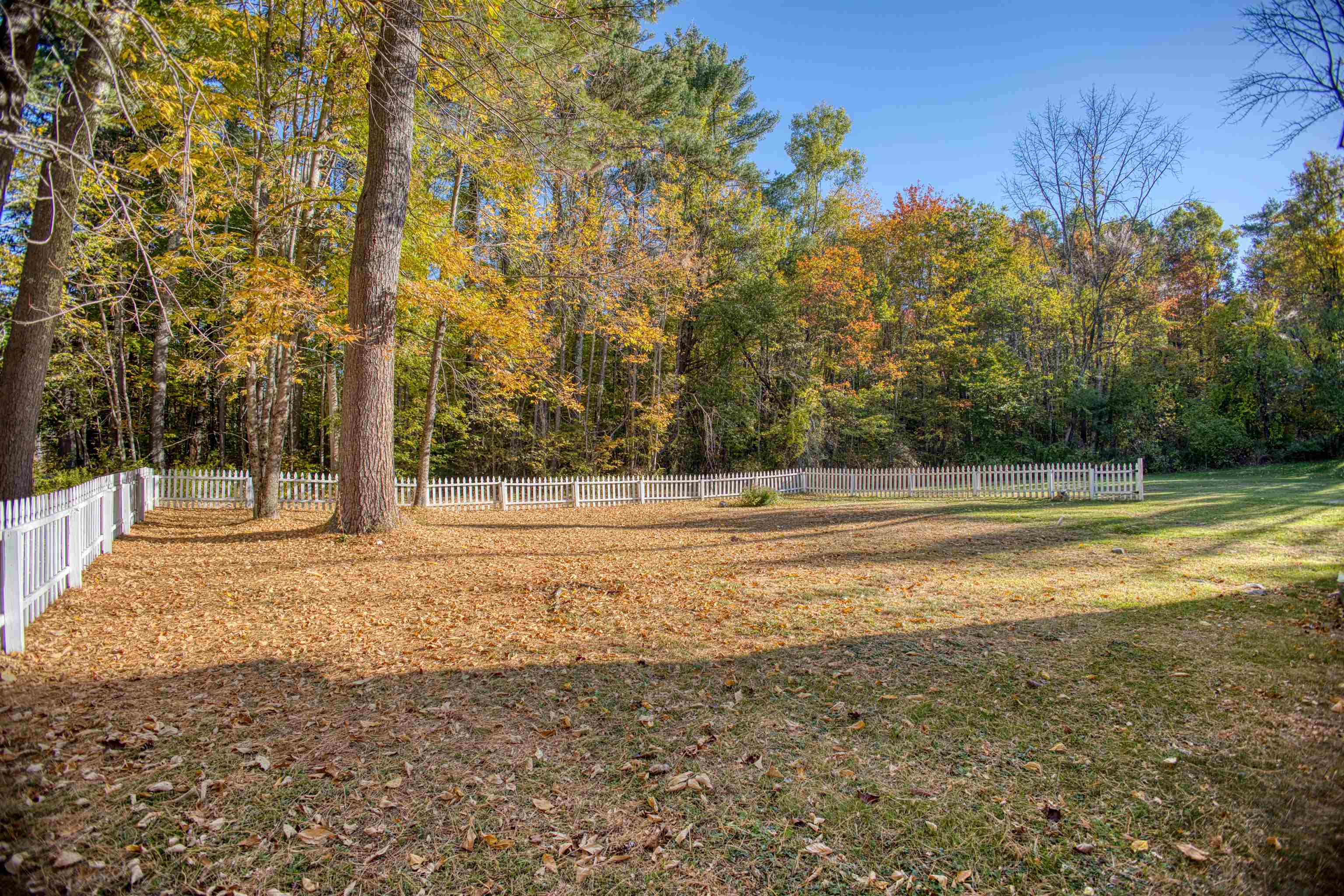 623 Province Lake Road Effingham, NH 03882 - Photo 8 of 40