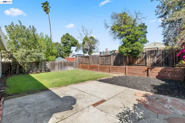 a view of a backyard