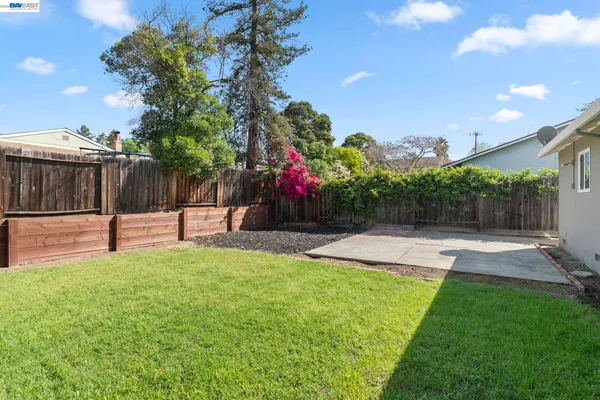 a view of a backyard with tree