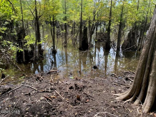 $50,000 | 587 Texas Street, Wewahitchka, FL 32465