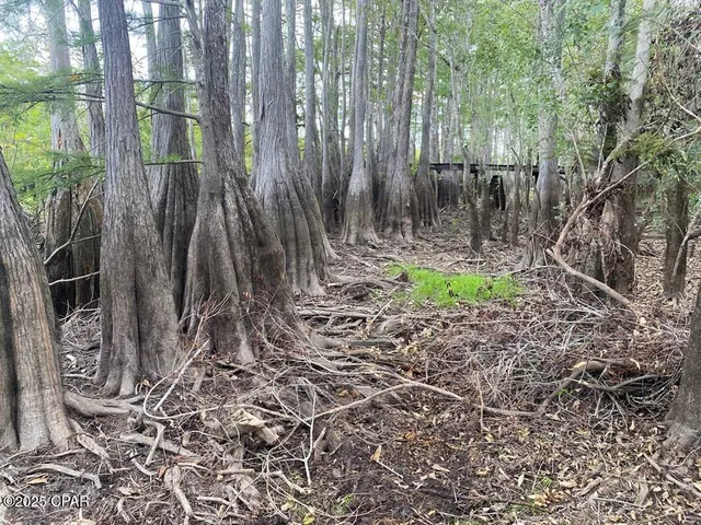 $50,000 | 587 Texas Street, Wewahitchka, FL 32465