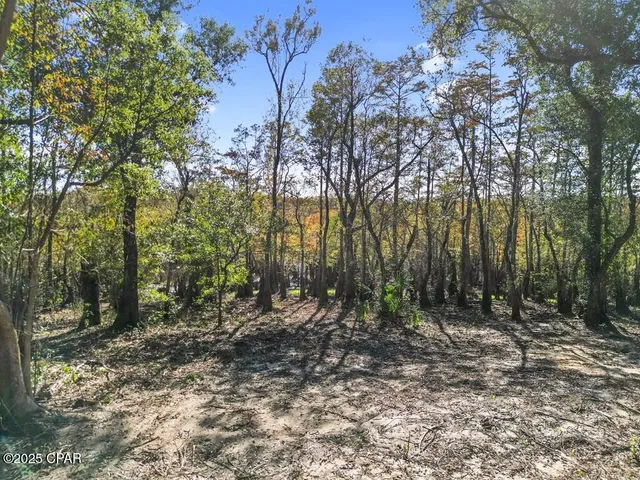 $50,000 | 587 Texas Street, Wewahitchka, FL 32465