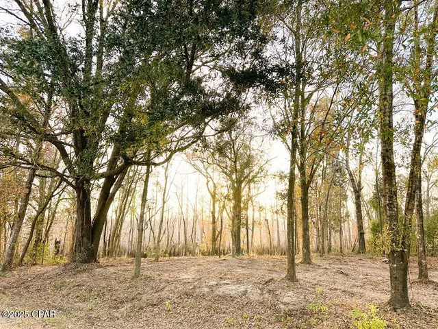 $50,000 | 587 Texas Street, Wewahitchka, FL 32465