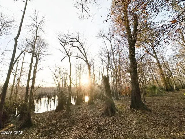 $50,000 | 587 Texas Street, Wewahitchka, FL 32465