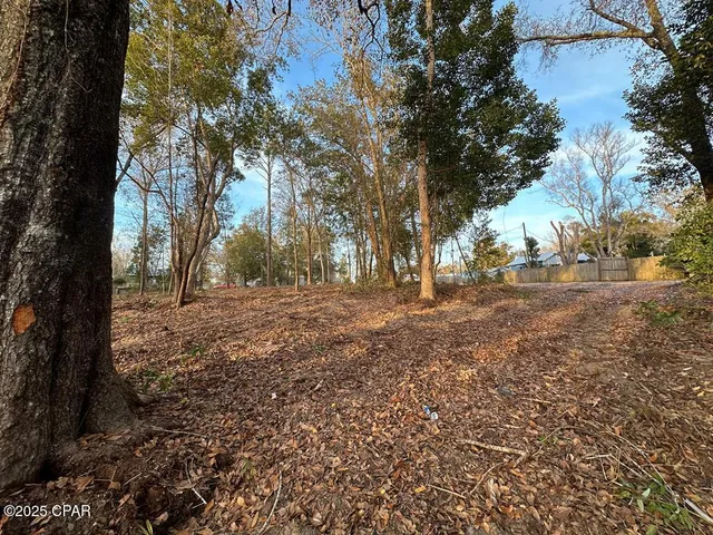 $50,000 | 587 Texas Street, Wewahitchka, FL 32465