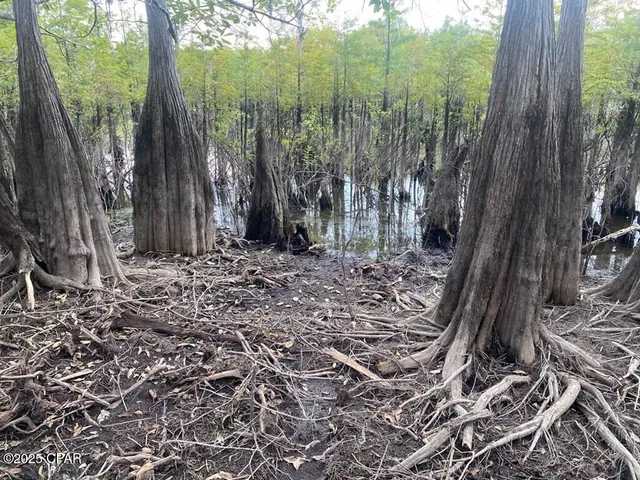 $50,000 | 587 Texas Street, Wewahitchka, FL 32465