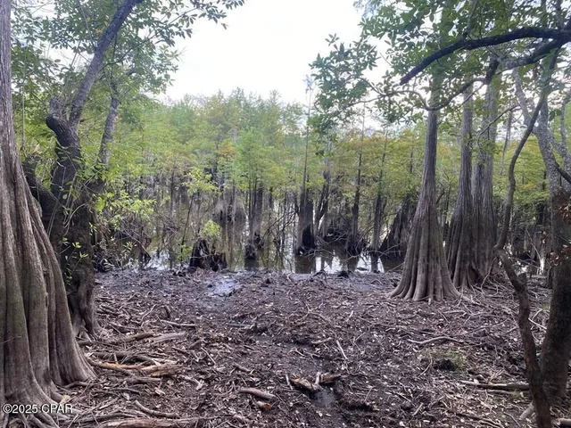 $50,000 | 587 Texas Street, Wewahitchka, FL 32465