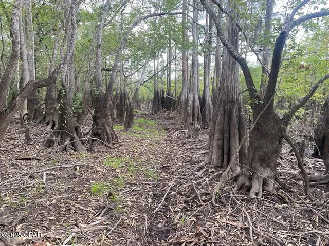 $50,000 | 587 Texas Street, Wewahitchka, FL 32465