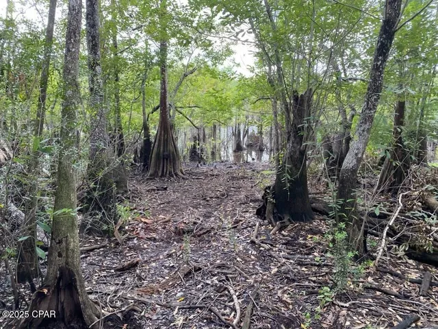 $50,000 | 587 Texas Street, Wewahitchka, FL 32465